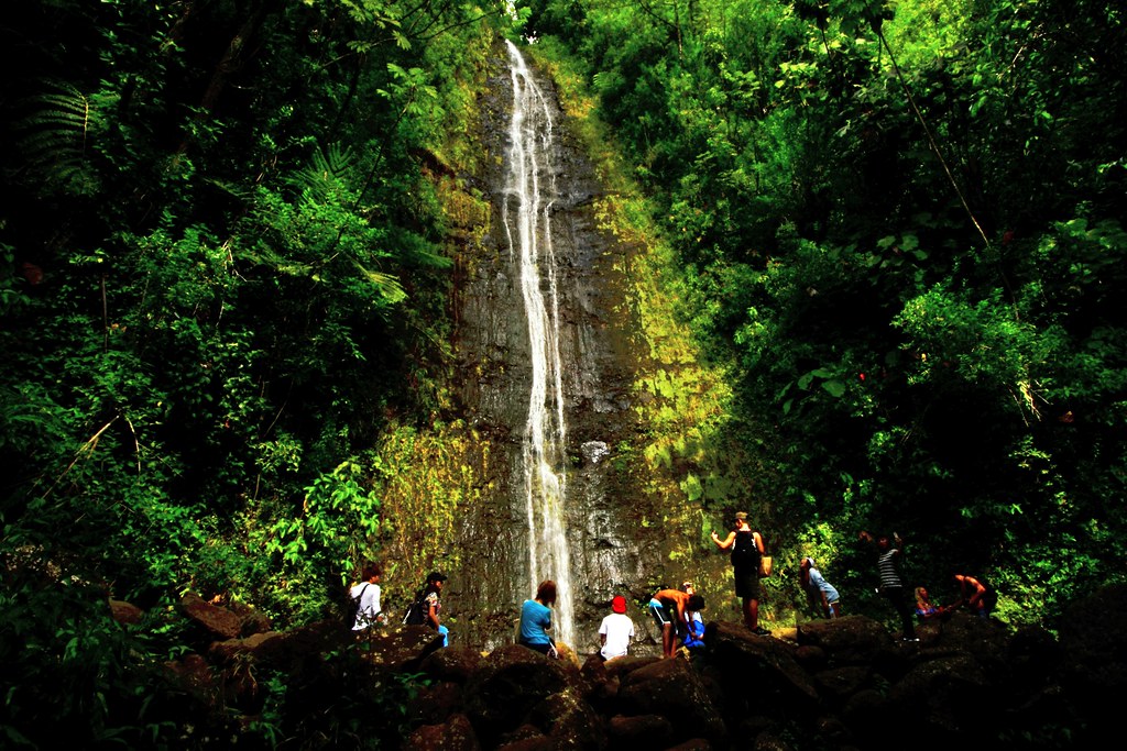 Manoa Falls Waterfall in Hawaii