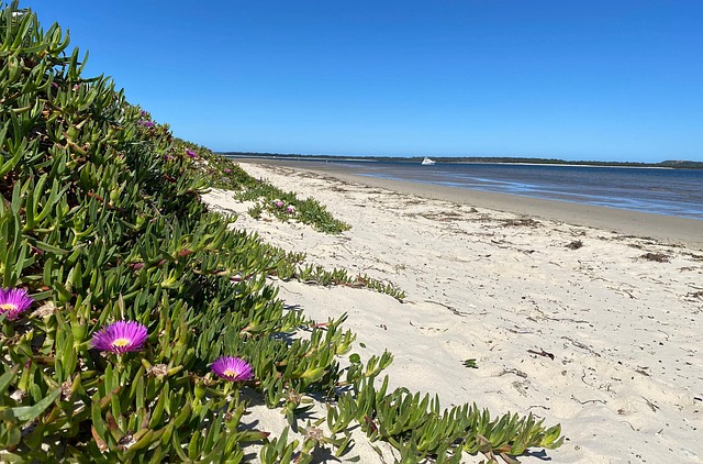 Sans Souci Beach Park
